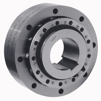 420Nm Torque Capacity Overrunning Clutch With 25mm Bore