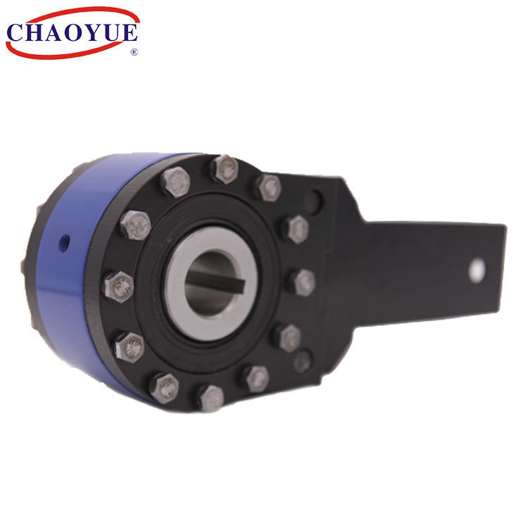 Low Speed Heavy Load One Way Conveyor Belt Backstop CHAOYUE